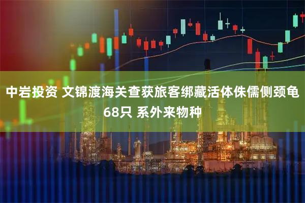 中岩投资 文锦渡海关查获旅客绑藏活体侏儒侧颈龟68只 系外来物种