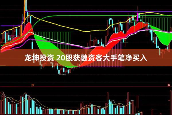 龙坤投资 20股获融资客大手笔净买入